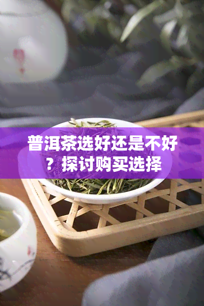 普洱茶选好还是不好？探讨购买选择