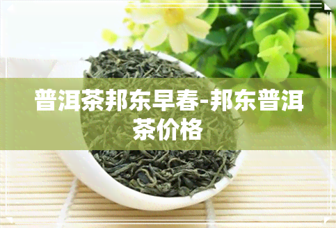 普洱茶邦东早春-邦东普洱茶价格