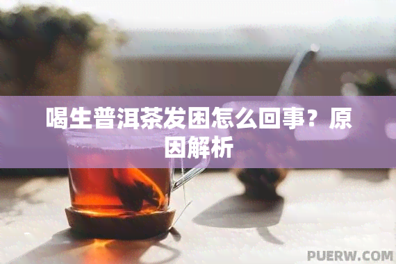 喝生普洱茶发困怎么回事？原因解析