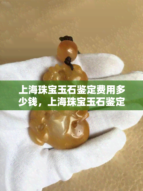 上海珠宝玉石鉴定费用多少钱，上海珠宝玉石鉴定费：价格全览与参考指南