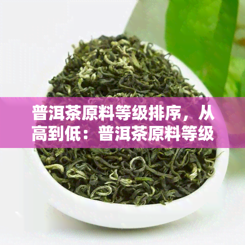 普洱茶原料等级排序，从高到低：普洱茶原料等级的详细排序与解释