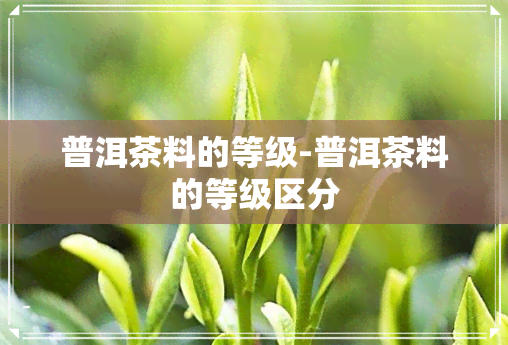 普洱茶料的等级-普洱茶料的等级区分