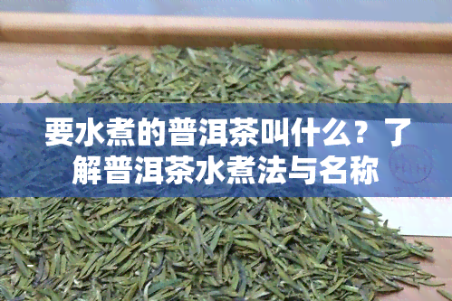 要水煮的普洱茶叫什么？了解普洱茶水煮法与名称