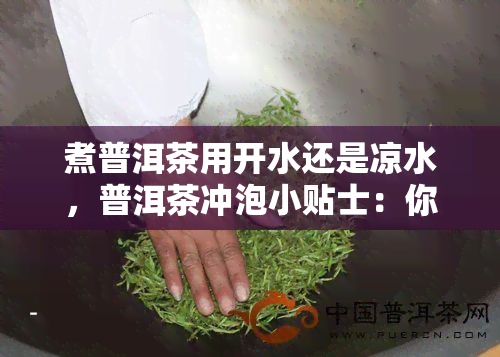 煮普洱茶用开水还是凉水，普洱茶冲泡小贴士：你应该用热水还是冷水来煮？