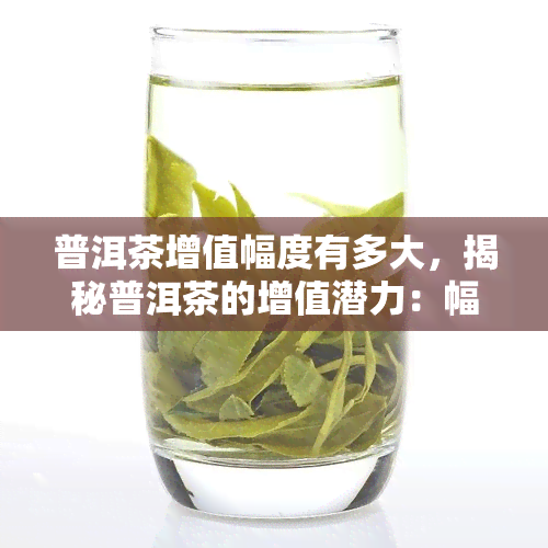 普洱茶增值幅度有多大，揭秘普洱茶的增值潜力：幅度究竟有多大？