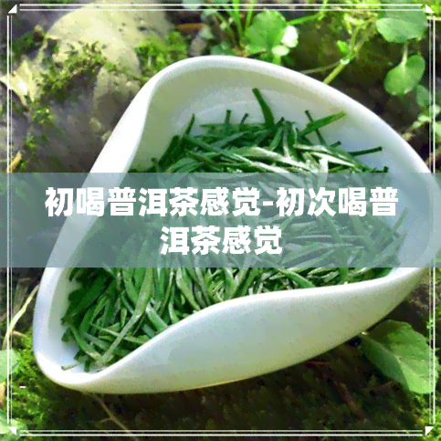 初喝普洱茶感觉-初次喝普洱茶感觉