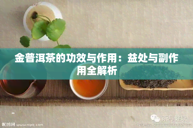 金普洱茶的功效与作用：益处与副作用全解析