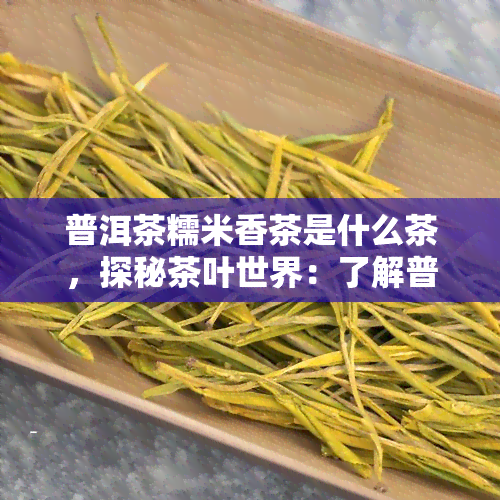 普洱茶糯米香茶是什么茶，探秘茶叶世界：了解普洱茶糯米香茶的神秘面纱