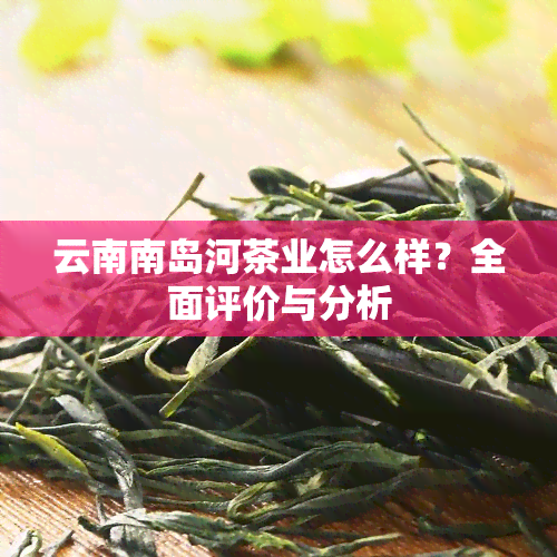 云南南岛河茶业怎么样？全面评价与分析