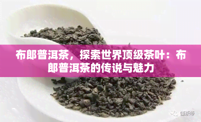 布郎普洱茶，探索世界顶级茶叶：布郎普洱茶的传说与魅力