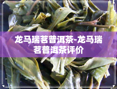 龙马瑞茗普洱茶-龙马瑞茗普洱茶评价