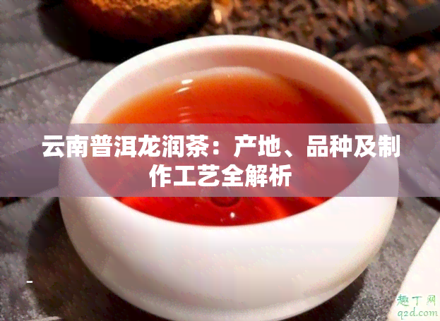 云南普洱龙润茶：产地、品种及制作工艺全解析