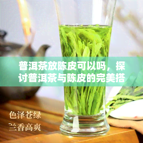 普洱茶放陈皮可以吗，探讨普洱茶与陈皮的完美搭配，能否实现口感新高度？