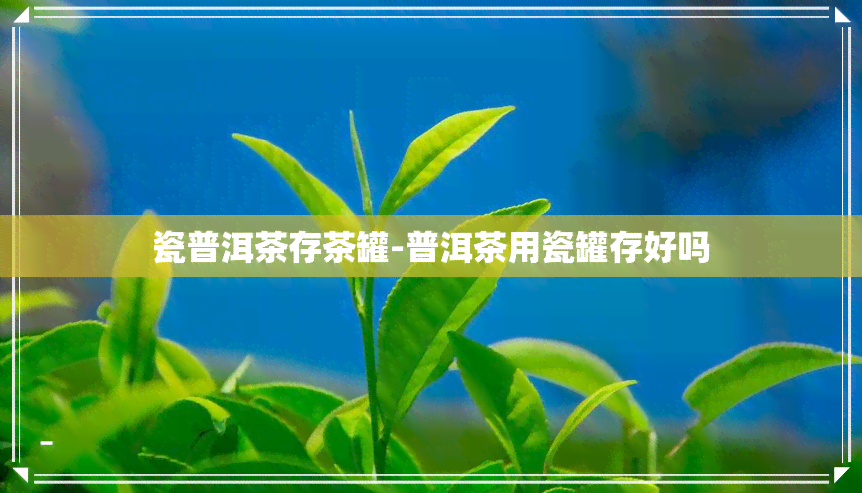 瓷普洱茶存茶罐-普洱茶用瓷罐存好吗