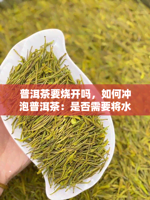 普洱茶要烧开吗，如何冲泡普洱茶：是否需要将水烧开？