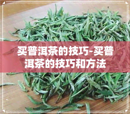 买普洱茶的技巧-买普洱茶的技巧和方法