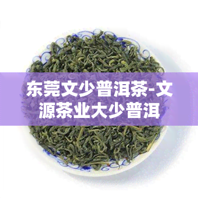 东莞文少普洱茶-文源茶业大少普洱