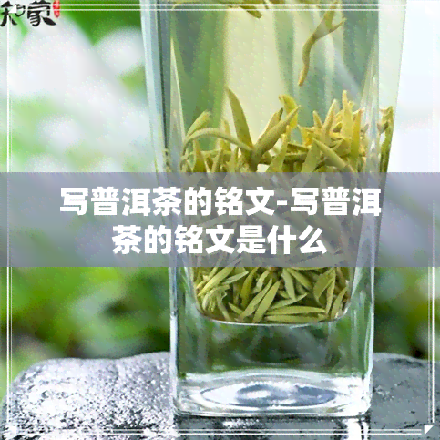 写普洱茶的铭文-写普洱茶的铭文是什么