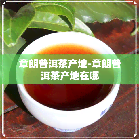 章朗普洱茶产地-章朗普洱茶产地在哪