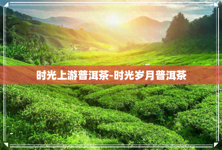 时光上游普洱茶-时光岁月普洱茶