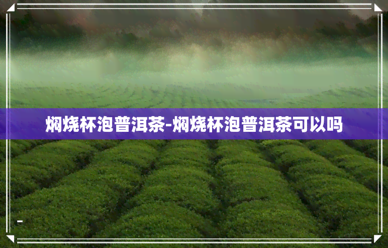 焖烧杯泡普洱茶-焖烧杯泡普洱茶可以吗