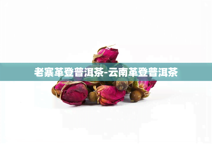 老寨革登普洱茶-云南革登普洱茶