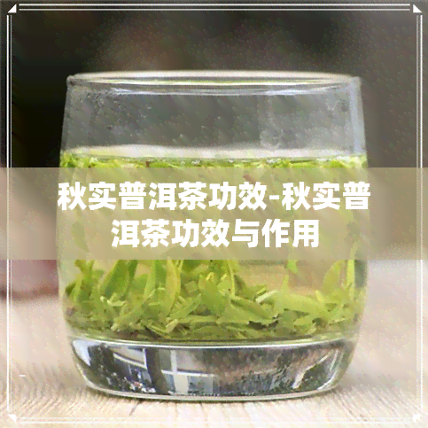 秋实普洱茶功效-秋实普洱茶功效与作用