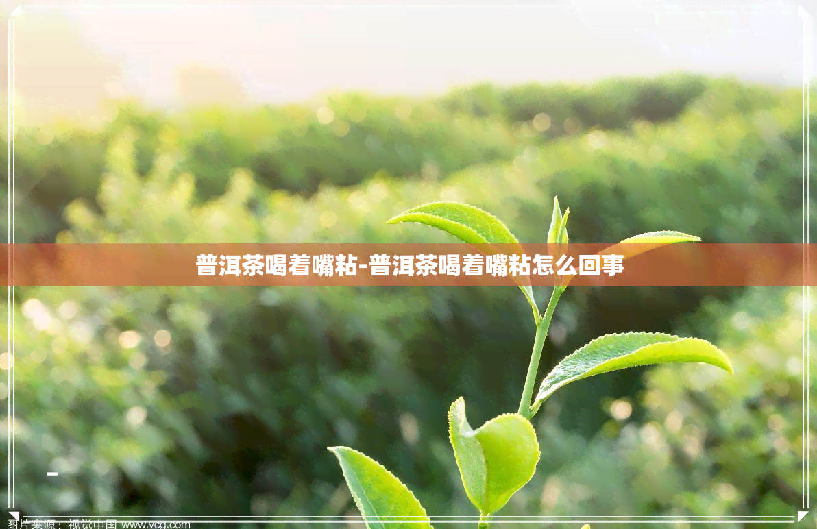 普洱茶喝着嘴粘-普洱茶喝着嘴粘怎么回事