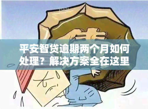 平安智贷逾期两个月如何处理？解决方案全在这里！