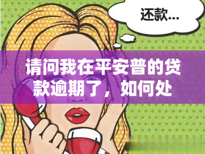 请问我在平安普的贷款逾期了，如何处理？逾期后果严重吗？