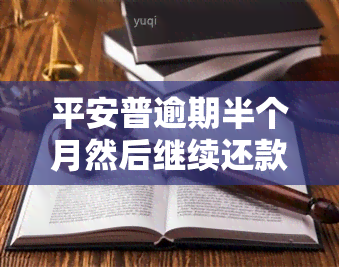 平安普逾期半个月然后继续还款可以吗，平安普：逾期半月后是否仍可继续还款？