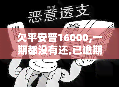 欠平安普16000,一期都没有还,已逾期4个月了,怎么办，急需解决：欠平安普16000，已逾期4个月未还！