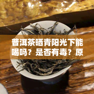 普洱茶晒青阳光下能喝吗？是否有？原因解析