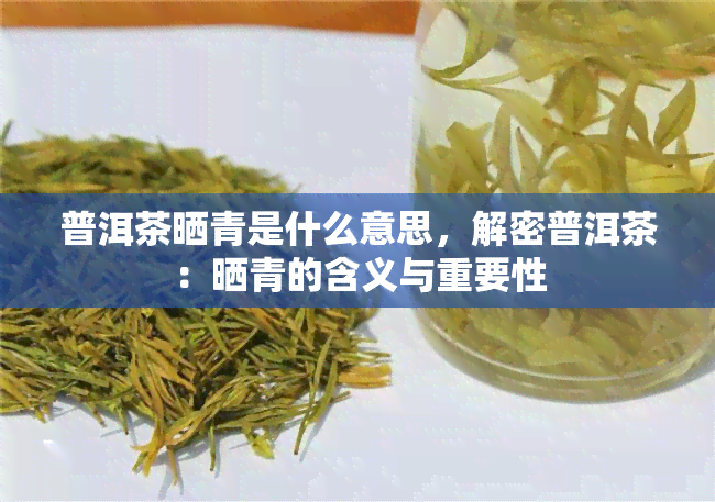 普洱茶晒青是什么意思，解密普洱茶：晒青的含义与重要性