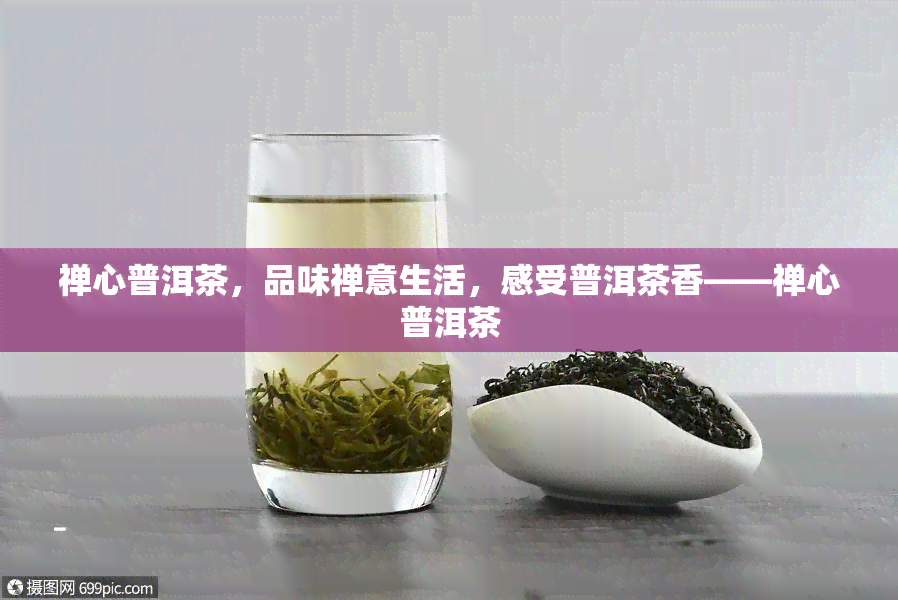 禅心普洱茶，品味禅意生活，感受普洱茶香——禅心普洱茶