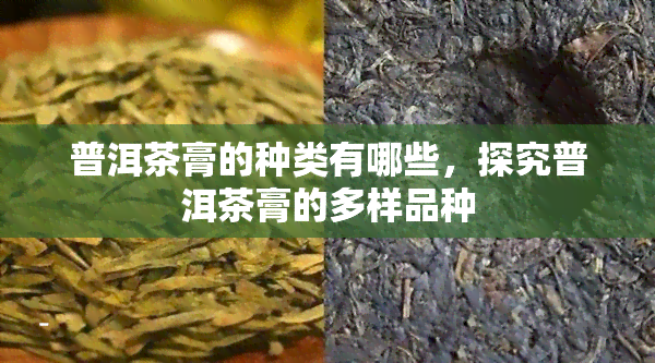 普洱茶膏的种类有哪些，探究普洱茶膏的多样品种