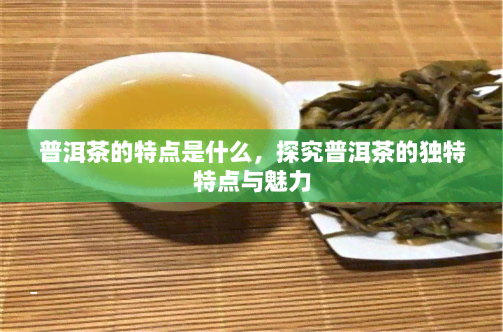 普洱茶的特点是什么，探究普洱茶的独特特点与魅力