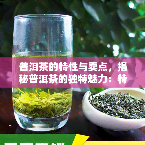 普洱茶的特性与卖点，揭秘普洱茶的独特魅力：特性与卖点解析