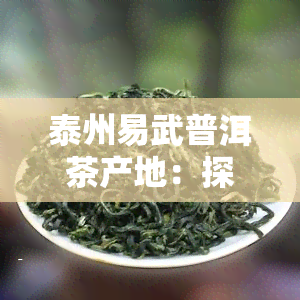 泰州易武普洱茶产地：探寻云南特色茶叶之源