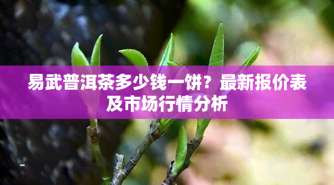 易武普洱茶多少钱一饼？最新报价表及市场行情分析