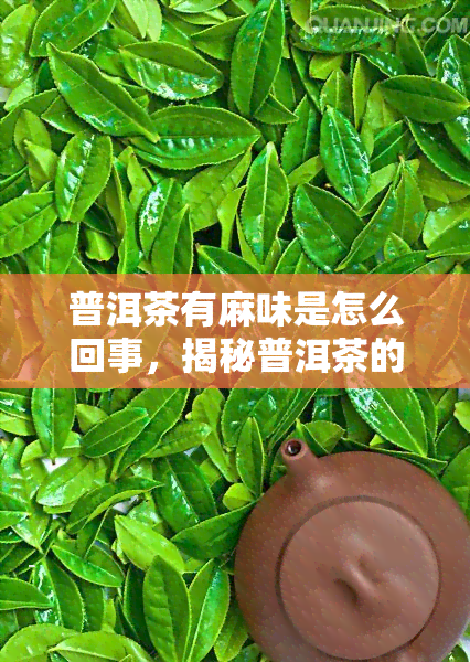 普洱茶有麻味是怎么回事，揭秘普洱茶的麻味：原因解析与品尝技巧