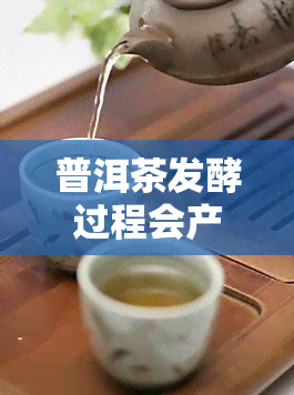 普洱茶发酵过程会产生霉菌吗，普洱茶发酵过程中是否会产生霉菌？