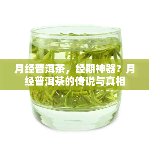 月经普洱茶，经期神器？月经普洱茶的传说与真相