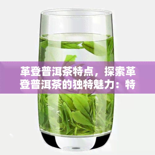 革登普洱茶特点，探索革登普洱茶的独特魅力：特点解析