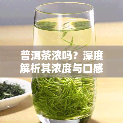 普洱茶浓吗？深度解析其浓度与口感