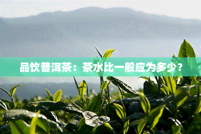 品饮普洱茶：茶水比一般应为多少？