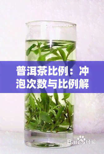 普洱茶比例：冲泡次数与比例解析