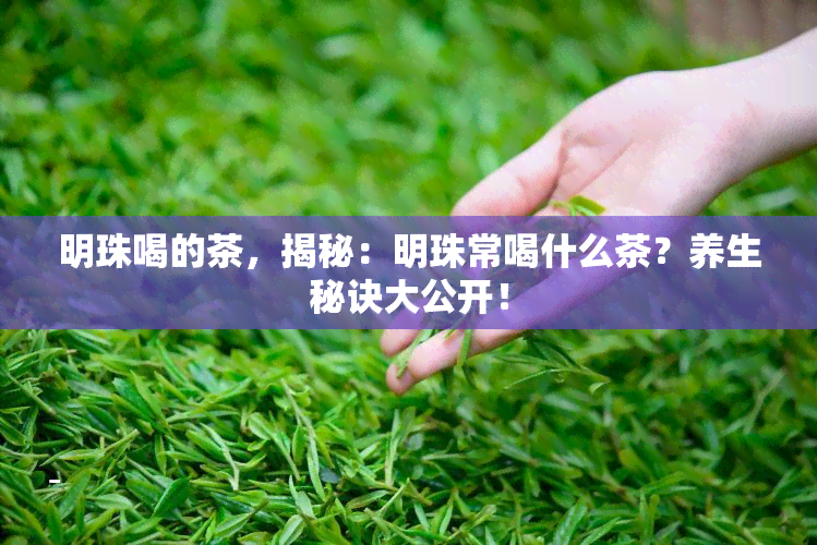 明珠喝的茶，揭秘：明珠常喝什么茶？养生秘诀大公开！