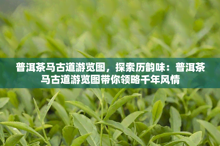 普洱茶马古道游览图，探索历韵味：普洱茶马古道游览图带你领略千年风情