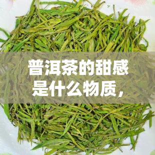 普洱茶的甜感是什么物质，揭示普洱茶甜感的秘密：探究其背后的关键物质